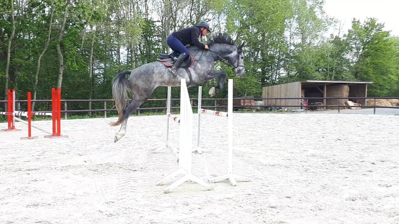 Gite Du Haras De Vales Moult Екстериор снимка
