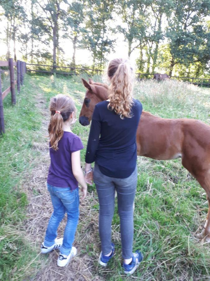 Gite Du Haras De Vales Moult Екстериор снимка