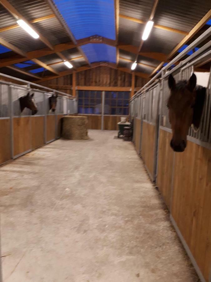 Gite Du Haras De Vales Moult Екстериор снимка
